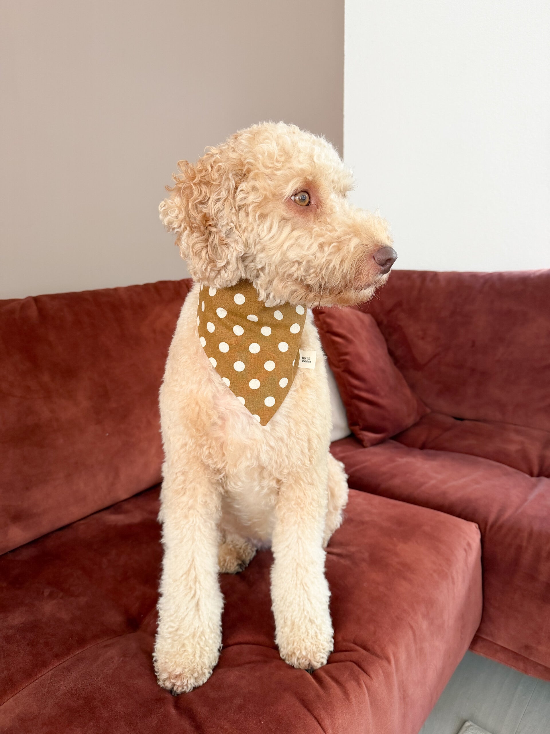 Bobby Dot Bandana