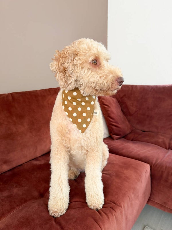 Bobby Dot Bandana