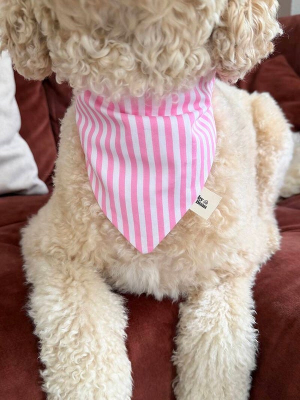 Reversible Bandana