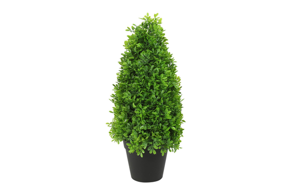 Countryfield Plant Buxus Groen 15 x 15 x 45 cm