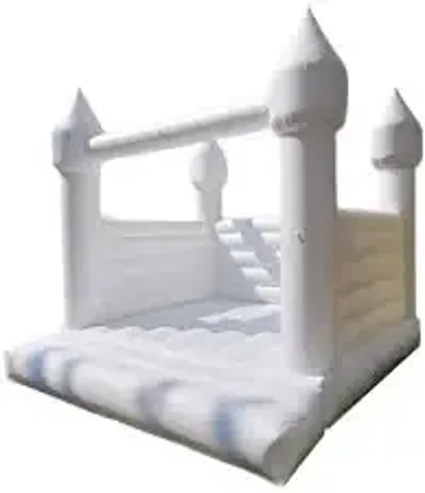 (1)  10 x 10 Inflatable  Bounce  House