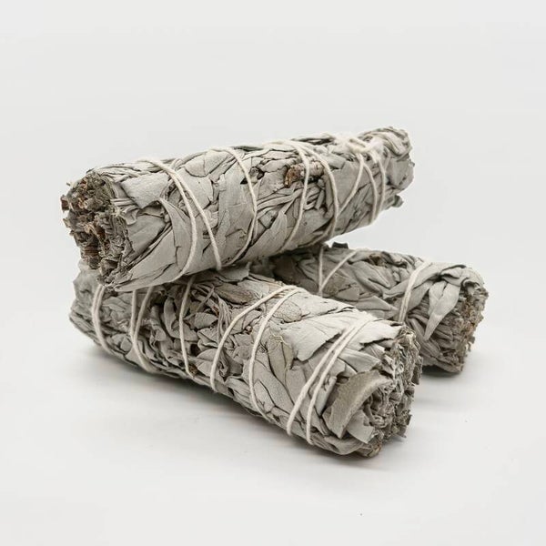 Witte Salie Smudge (M)