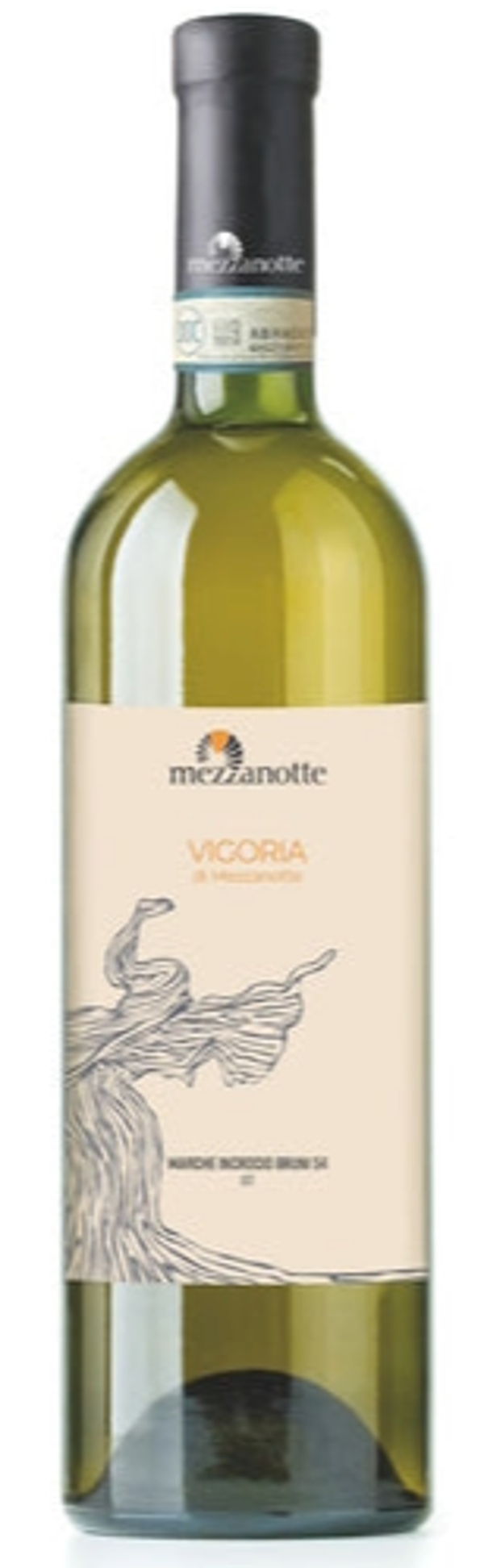 The Vigoria
