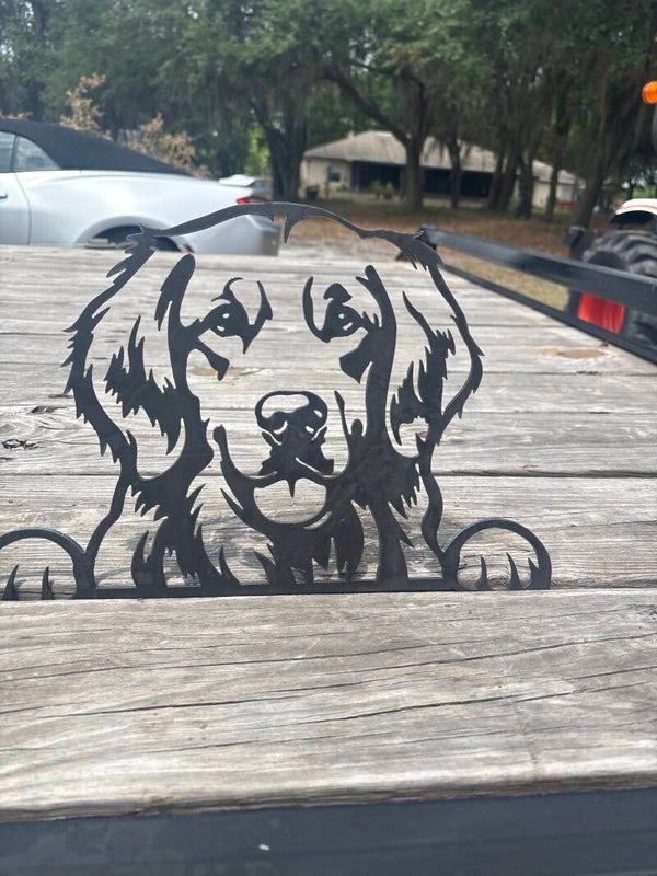 Golden retriever