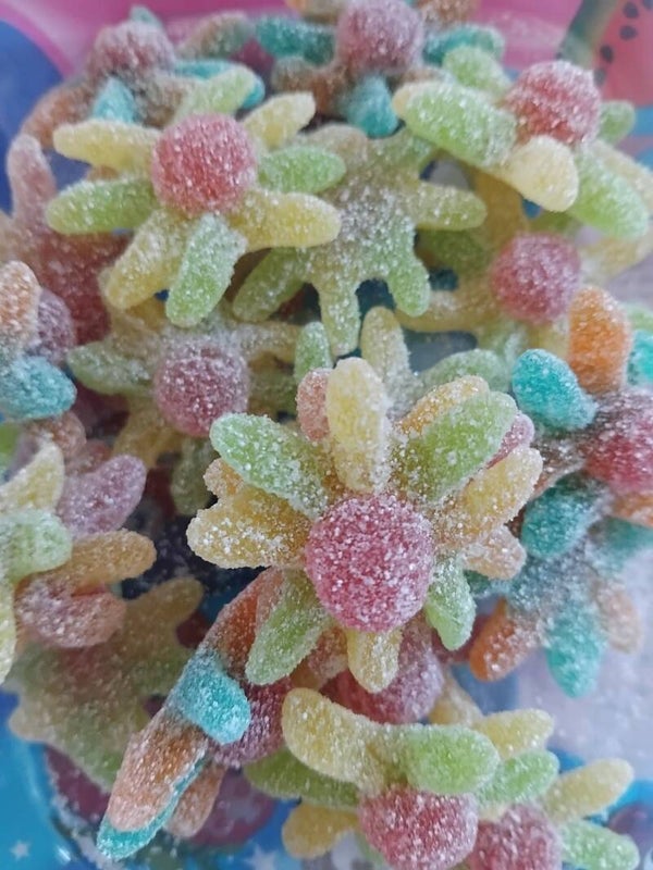 pieuvre acidulée 200g