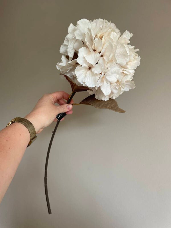 Zijdetak Hortensia crème