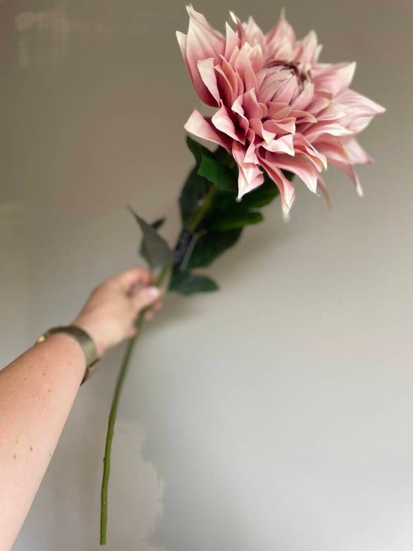 Chrysant roze