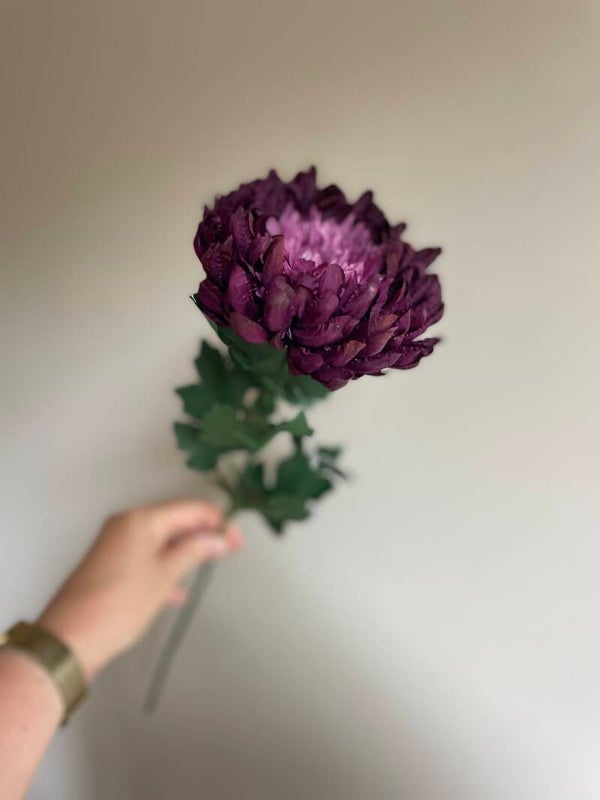 Chrysant of-white/burgundy