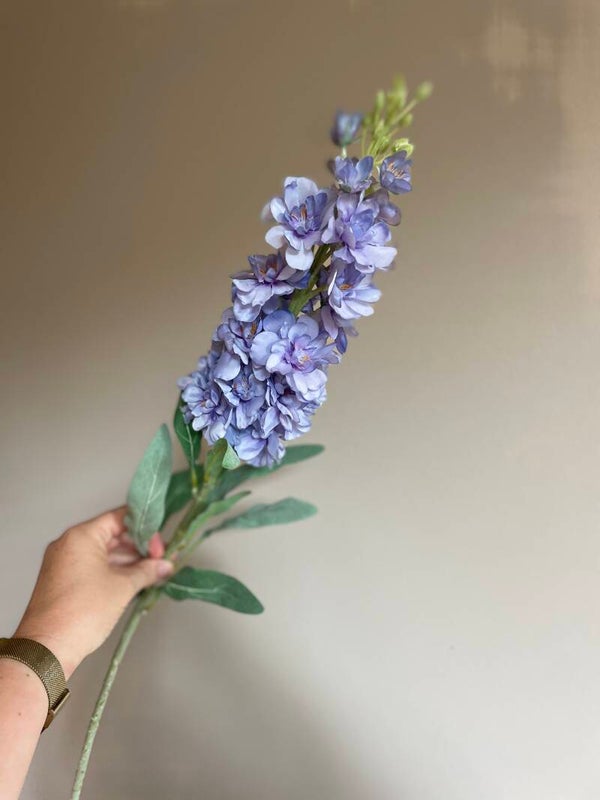 Ridderspoor in blauw of roze
