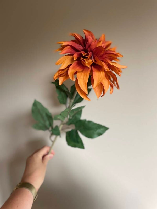 Chrysant Roest of Burgundy