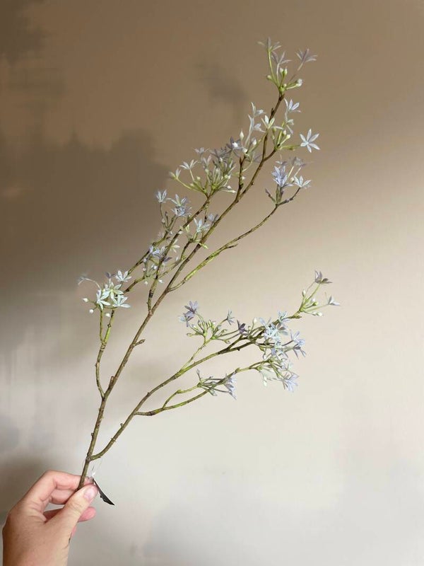 Lente ui