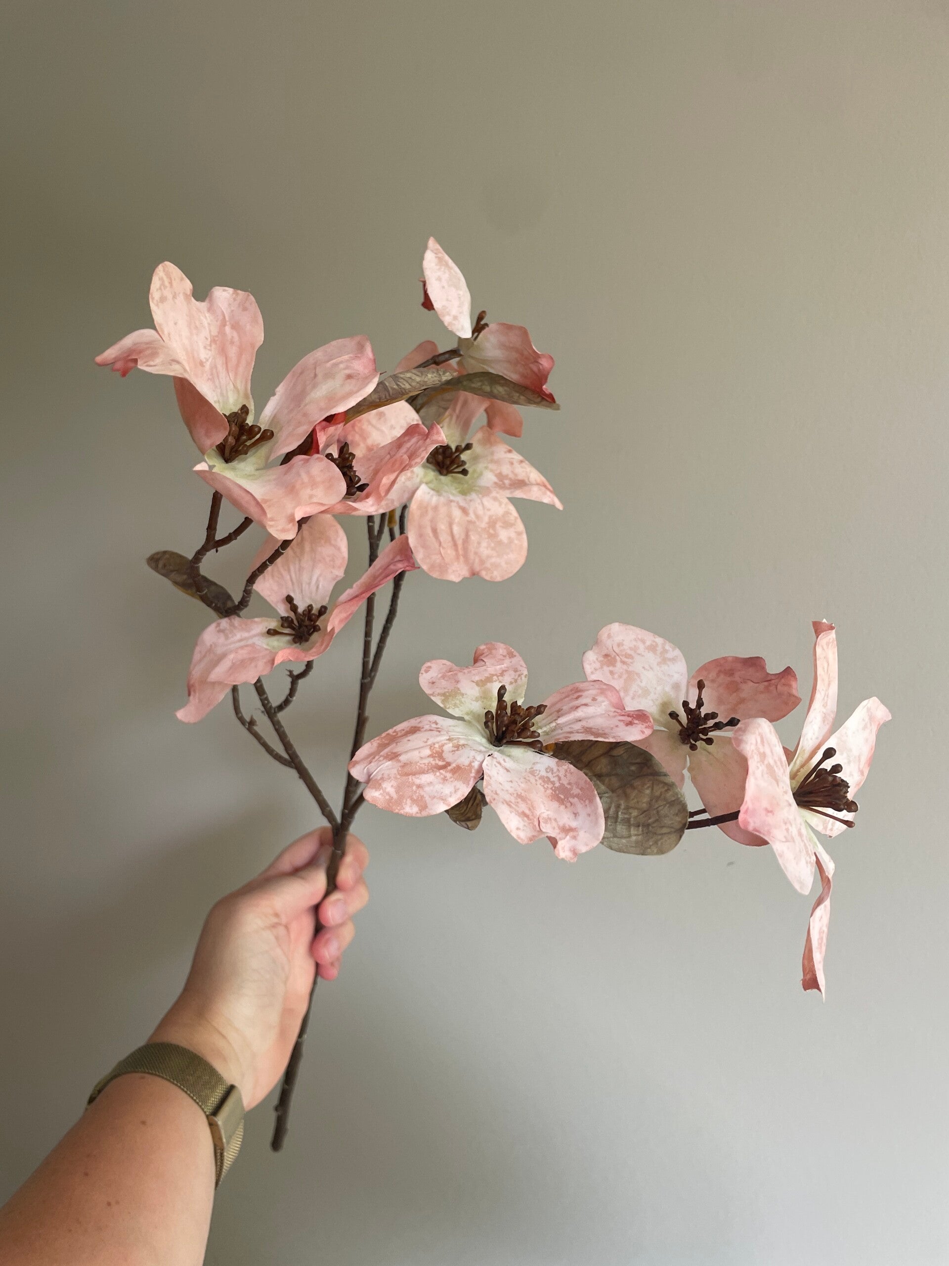 Magnolia roze