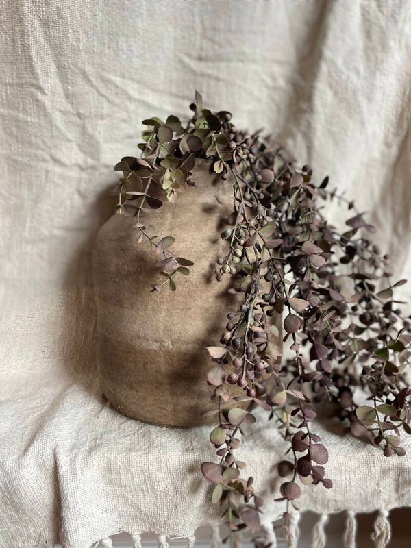 Hangende eucalyptus mauve