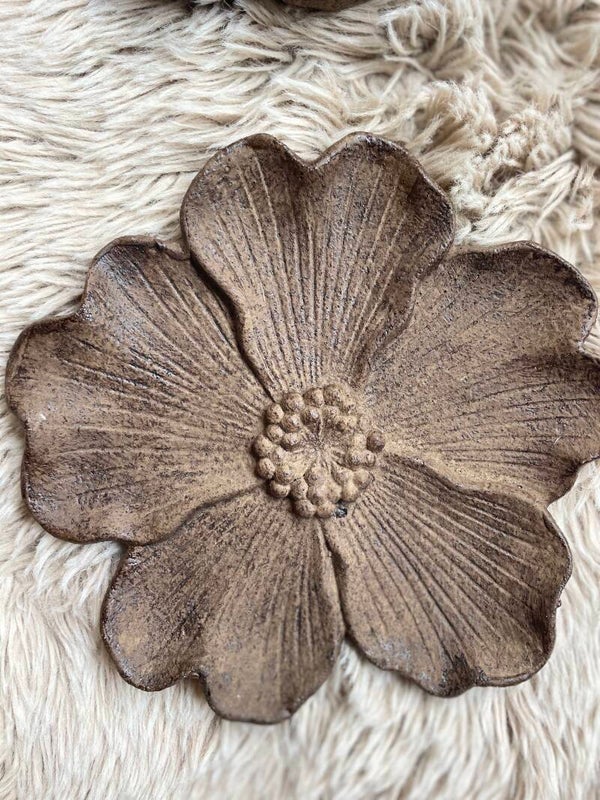 Bloem Bruin L