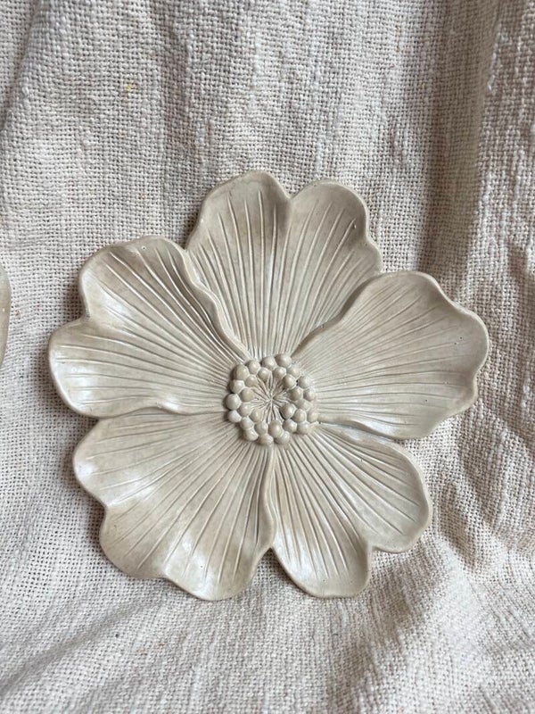 Bloem Beige S