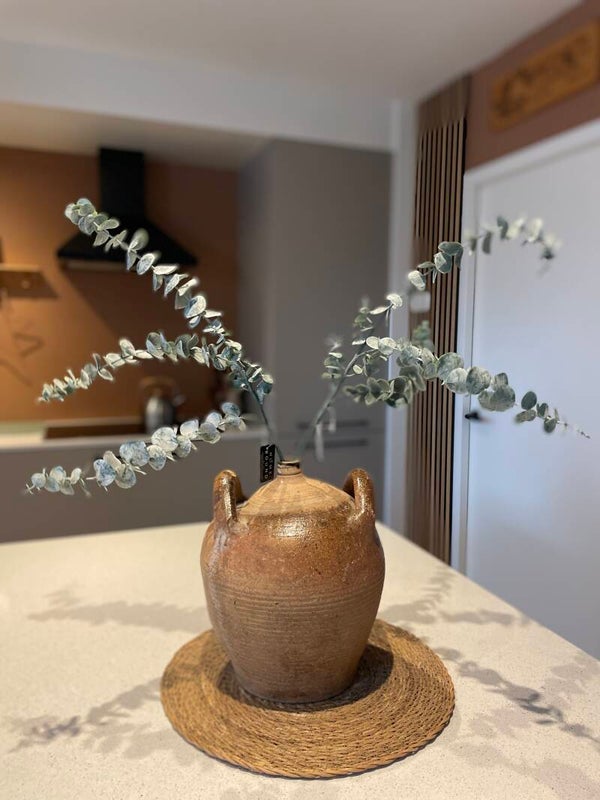 Eucalyptus grijs/groen