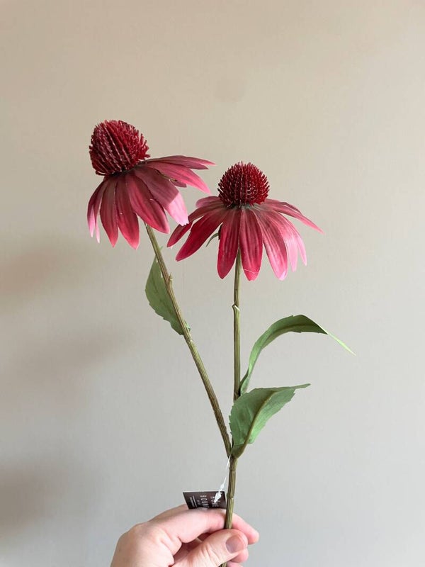 Rudbeckia Zonnehoed paars