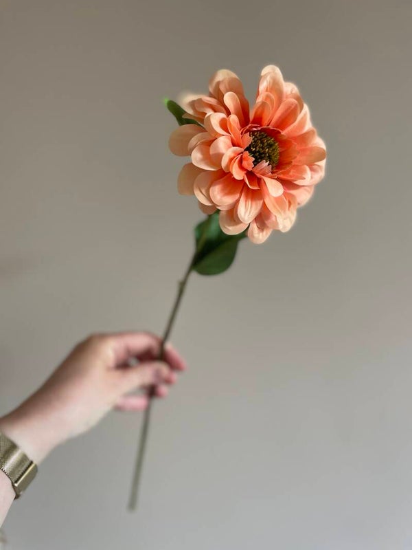 Gerbera peach