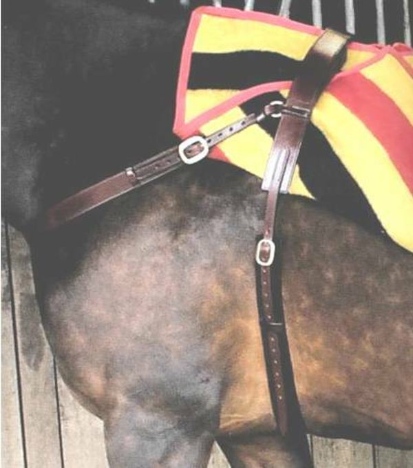 Vorderzeug mit Deckengurt Leder RD306