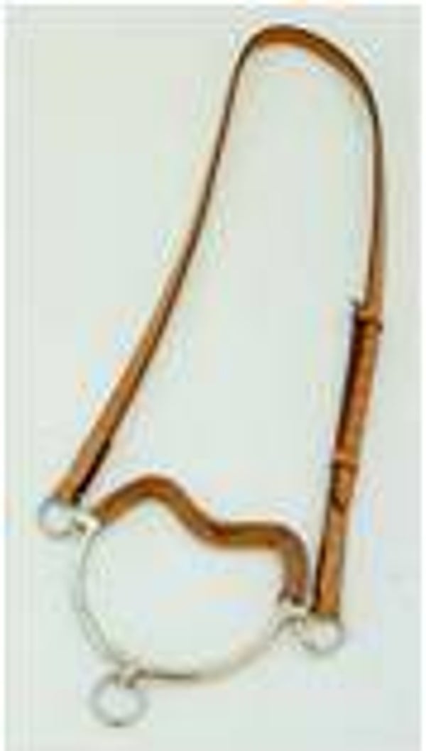 Steiggebiss mit Leder umnäht G2