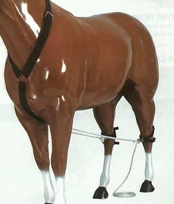 Deckgeschirr Equiprense Antigal  Australien L241