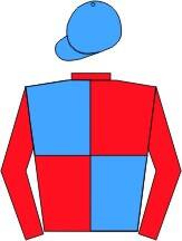 Führerblouson mit Reißverschluß Satin R210F