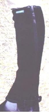 Reitchaps Wildleder Irland T742A