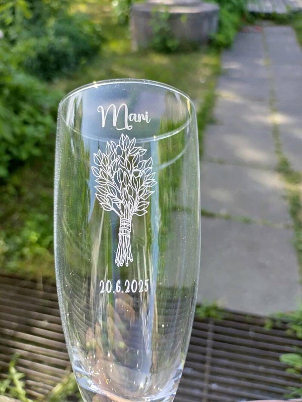 Skumppa/Viinilasi paketti 6kpl.