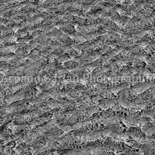 _5110010_srvb_fullres_800-standard-5w8n9o.jpg