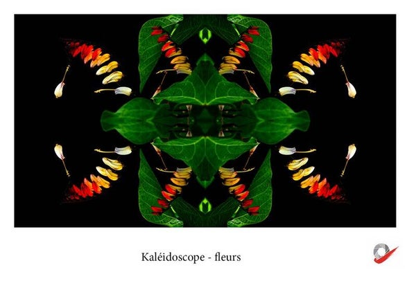 CP_2026_28 - Kaléidoscope 1