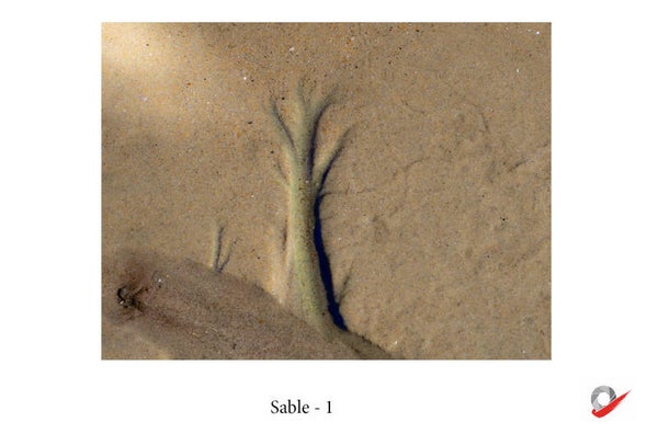 CP_2026_28 - Sable 1