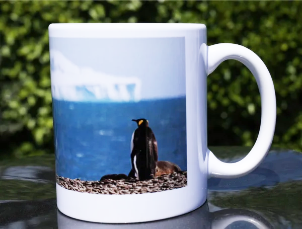 MUG_2026_1 - Le rêve du manchot