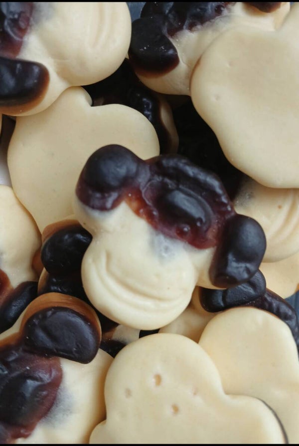 🐵 Katja Apekoppen