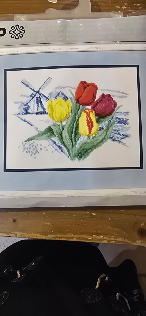 Tulpen met molen