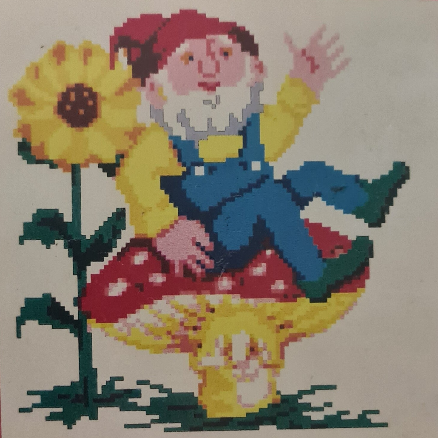 Knuffelkussen kabouter Pim