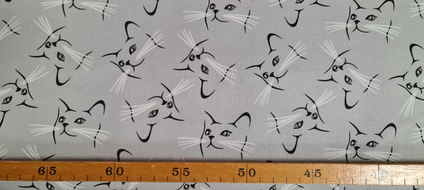 kattenkopjes