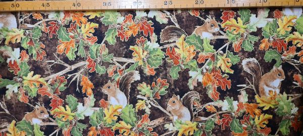 Eekhoorn tussen herfstbladeren