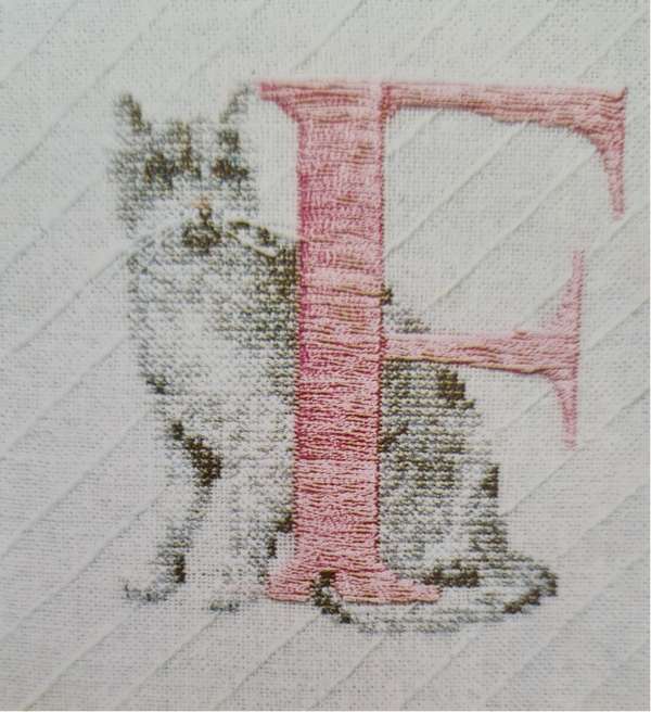 Alphabet Katten