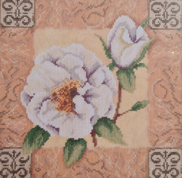 Roos op Klassieke Achtergrond