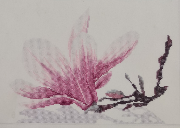 Twijg van de Magnolia met Bloem