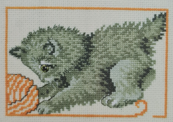 Kitten met bolletje wol