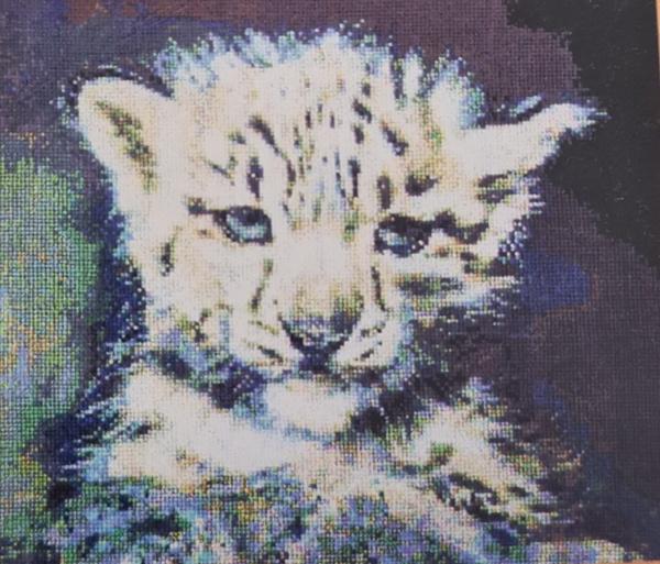 Baby Sneeuw Luipaard