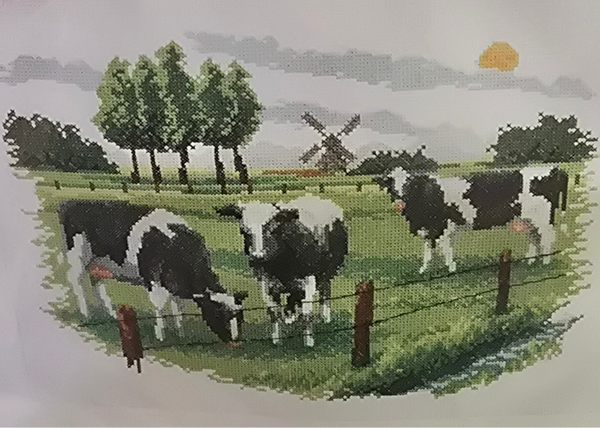 Koeien in de wei