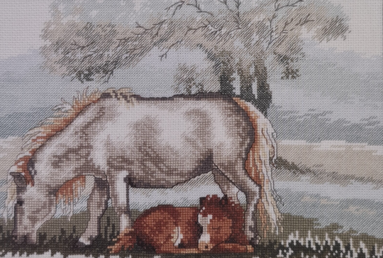 Pony met Veulen