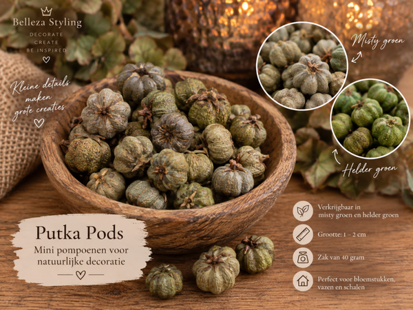 Putka Pods – Mini Pompoenen voor Natuurlijke Decoratie