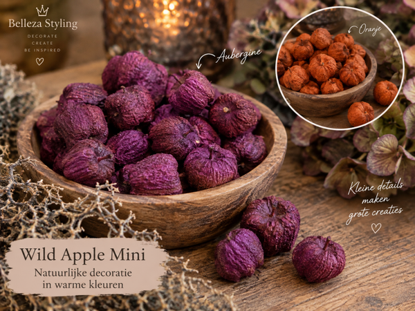 Wild Apple Mini – Natuurlijke decoratie in warme kleuren