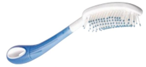 Beauty Kam / Borstel