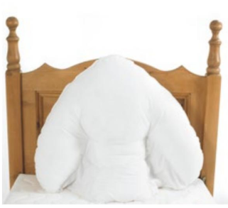 Harley Bapiang Kussen