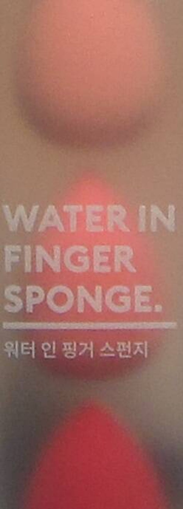 Sponge