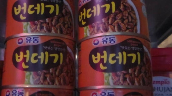 Byöndegi - 번데기